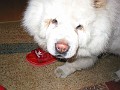 200411129 018
